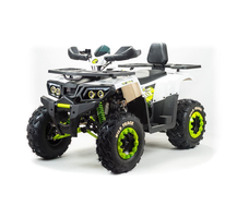 Квадроцикл MOTOLAND ATV 200 WILD TRACK