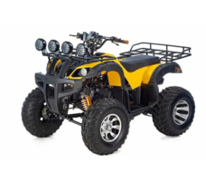 Квадроцикл RAPTOR Max Pro 250 (жёлтый/чёрный) (2024)