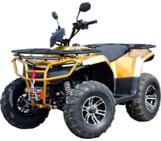 Квадроцикл IRBIS ATV 200