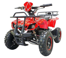 Электроквадроцикл GREEN CAMEL Гоби K21