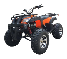 Электроквадроцикл GREENCAMEL Сахара A2200