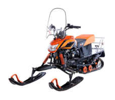 Снегоход IRBIS Dingo T200