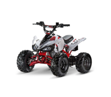 Квадроцикл ACCESS AMS 110 MiniSport