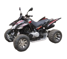 Квадроцикл ACCESS SP 300 SM