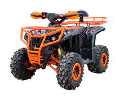 Квадроцикл IRIDE Rino Super 125