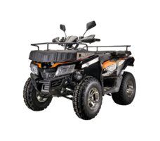 Квадроцикл RATO 200 LD LUXE