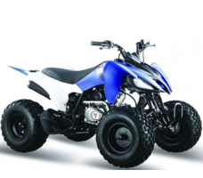 Квадроцикл МОТОМИР PANTERA 125