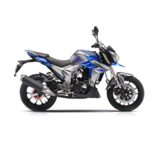 Мотоцикл REGULMOTO T-Leopard 300