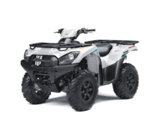 Квадроцикл KAWASAKI Brute Force 750 4x4i EPS (2023) (ПСМ)