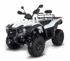 Квадроцикл TGB Blade 500 SL (ПСМ)