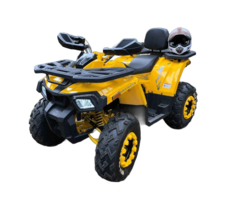 Квадроцикл MOTOLAND 200 Wild Track X