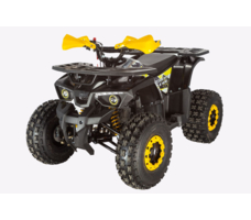 Квадроцикл AVANTIS Classic 8 New