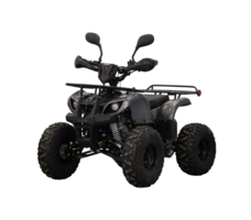 Квадроцикл UNIVERSAL ATV 125 TM Classic