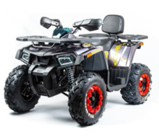 Квадроцикл MOTOLAND 200 Wild Track X Pro (2022)