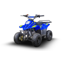 Квадроцикл TIGER 150 Universal RX