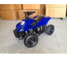 Квадроцикл RAPTOR 110