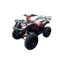 Квадроцикл RAPTOR Madman 200 All