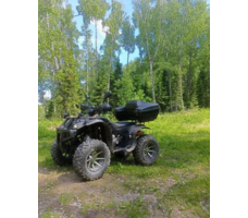 Квадроцикл GRIZZLY 250 Б/У