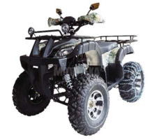 Квадроцикл WELS Thunder 200 Lux