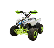 Квадроцикл RACER RC 110 Coyote