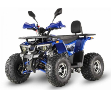 Квадроцикл GRIZZLY Aerox 125