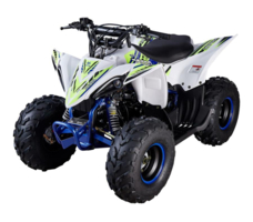 Квадроцикл MIKILON Rapide 110