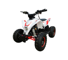 Квадроцикл MOTAX GEKKON 90cc