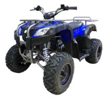 Квадроцикл MOTAX ATV Grizlik 200