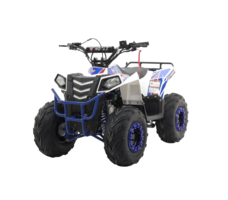 Квадроцикл MOTAX Grizlik A110