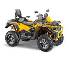 Квадроцикл STELS ATV 800 GUEPARD Trophy EPS (ПСМ)