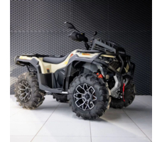 Квадроцикл LONCIN Xwolf 700 MUD S (ПСМ)