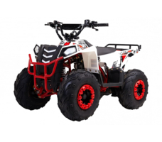 Квадроцикл WELS Thunder Evo M детский