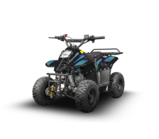 Квадроцикл SHARK 150 Universal