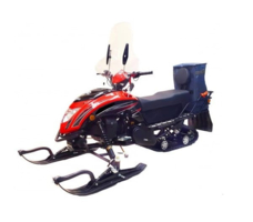 Снегоход REGULMOTO Raccoon разборный