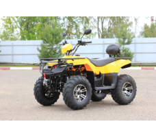 Квадроцикл IRBIS ATV200 Premium