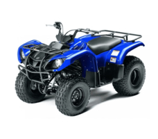 Квадроцикл GRIZZLY 125