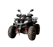Квадроцикл GRIZZLY 250