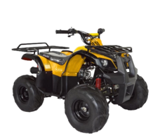 Квадроцикл ABM NINJA 110