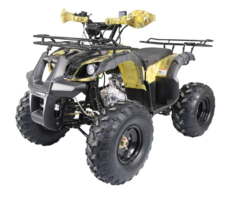 Квадроцикл ATV Termit TT