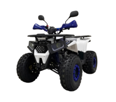 Квадроцикл AVANTIS Optima 8+