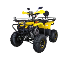 Квадроцикл AVANTIS Patriot Lux