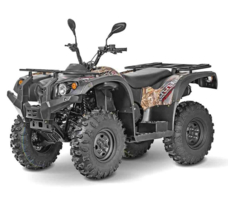 Квадроцикл BALTMOTORS Striker 400 EFI