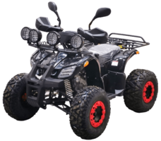 Квадроцикл BISON Kids 125 LD