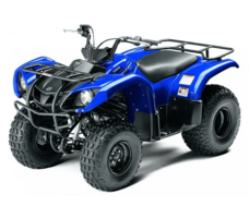 Квадроцикл GRIZZLY 125сс детский