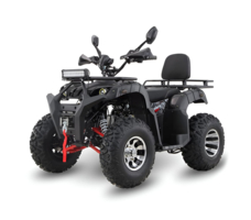 Квадроцикл GRIZZLY 200 Premium