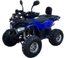 Квадроцикл GRIZZLY Aerox 125cc New 2022