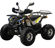 Квадроцикл GRIZZLY Pro 125cc