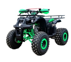 Квадроцикл IRIDE BTR 125-5