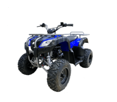 Квадроцикл IRIDE Wolf 200