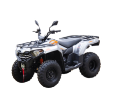 Квадроцикл LONCIN TRV350 Pro 22